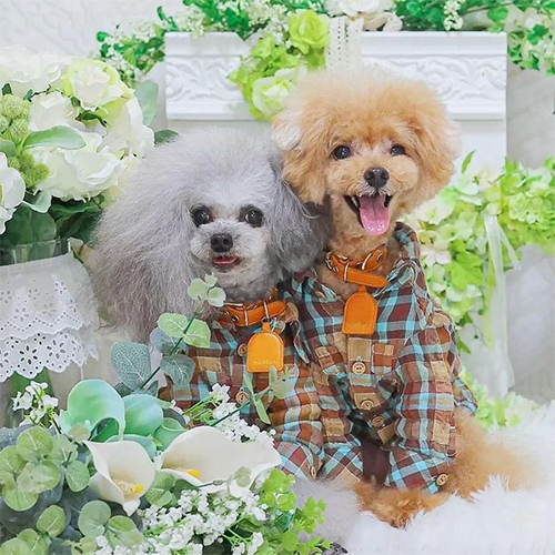 �C���X�^�O����