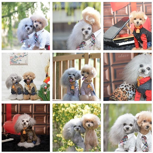 �C���X�^�O����